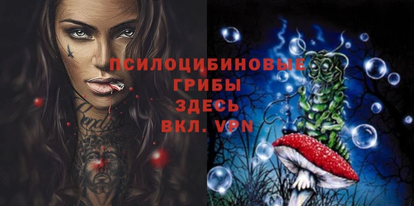 дживик Медвежьегорск