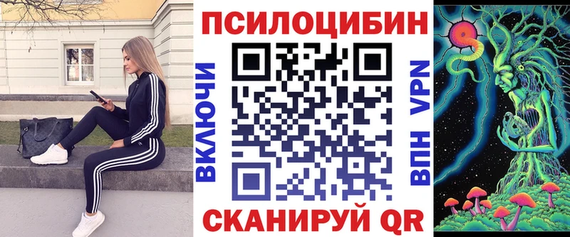 как найти закладки  Заволжск  МЕГА ТОР  Галлюциногенные грибы Magic Shrooms 